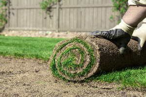 landscapers' guide landscaper's guide